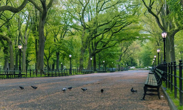 konservasi flora dan fauna di taman kota