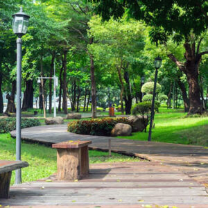 taman kota mengurangi polusi udara