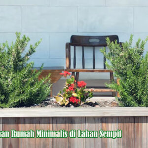 taman rumah minimalis di lahan sempit